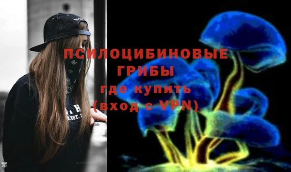 метадон Армянск
