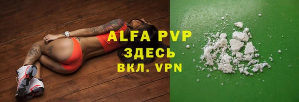 шишки Арсеньев