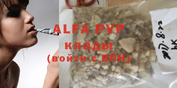 шишки Арсеньев