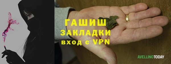 шишки Арсеньев