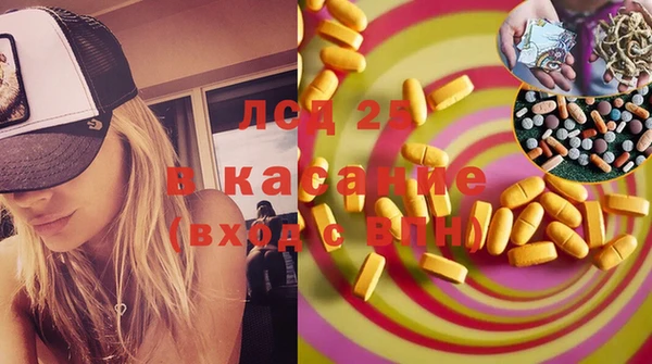 шишки Арсеньев